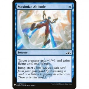 Maximize Altitude