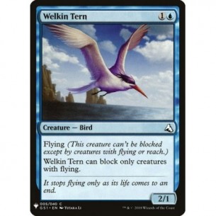 Welkin Tern