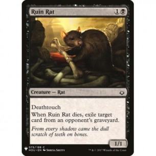 Ruin Rat