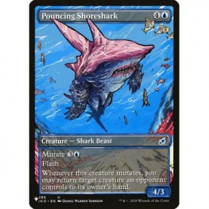 Pouncing Shoreshark
