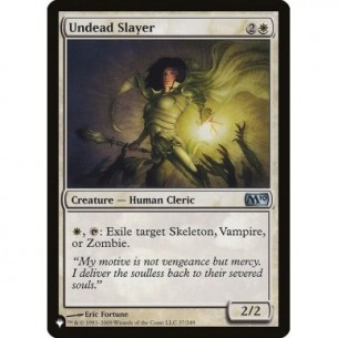 Undead Slayer