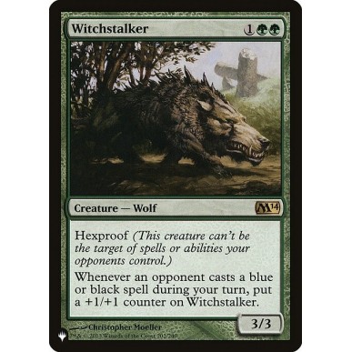 Witchstalker