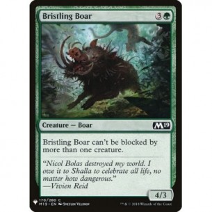 Bristling Boar
