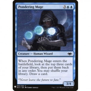 Pondering Mage