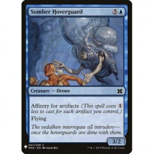 Somber Hoverguard