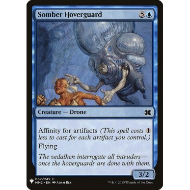 Somber Hoverguard