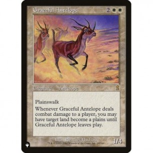 Graceful Antelope