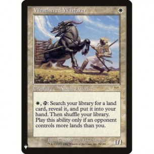 Weathered Wayfarer