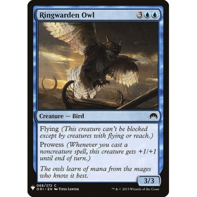 Ringwarden Owl