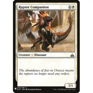 Raptor Companion