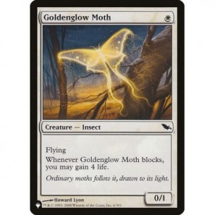 Goldenglow Moth