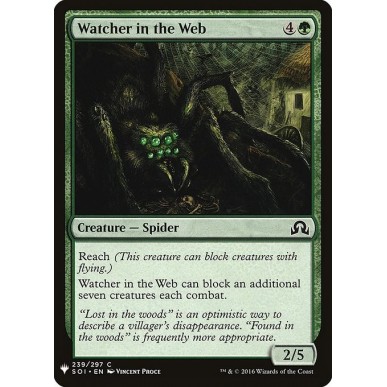 Watcher in the Web