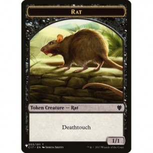 Rat