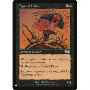 Spined Fluke
