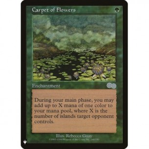Carpet of Flowers
