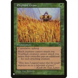Elephant Grass