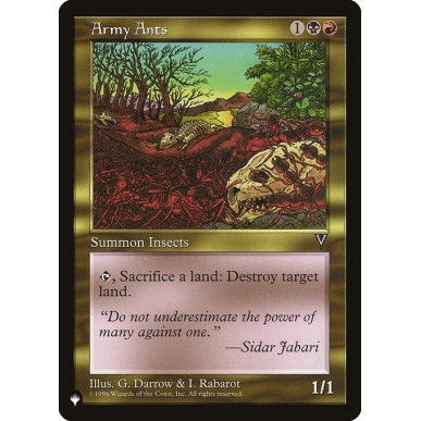 Army Ants