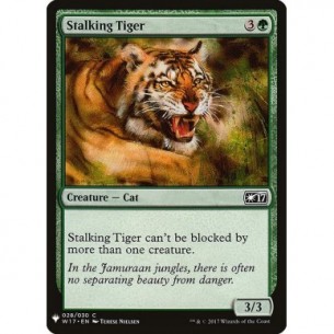 Stalking Tiger