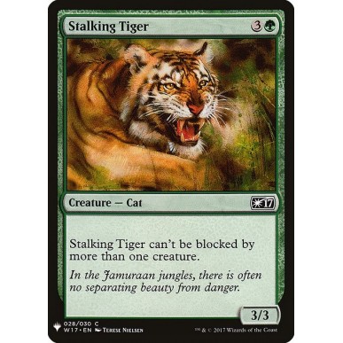 Stalking Tiger