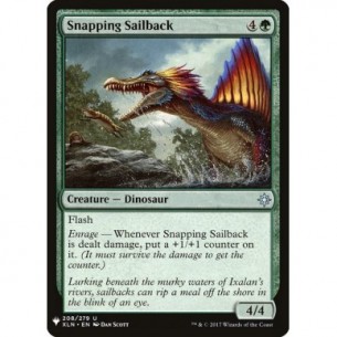 Snapping Sailback