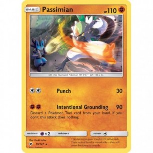 Passimian