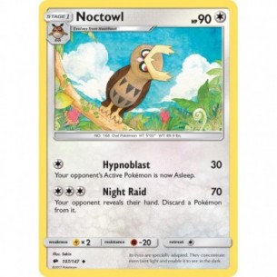 Noctowl