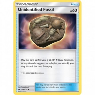 Unidentified Fossil