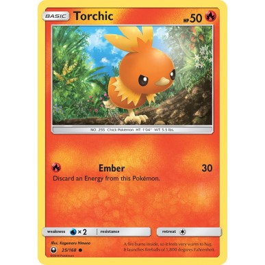 Torchic