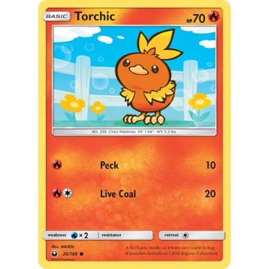 Torchic