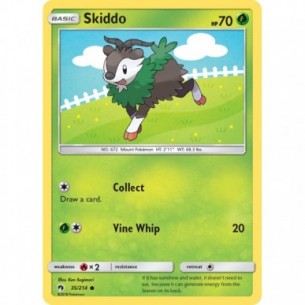 Skiddo