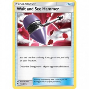 Wait and See Hammer
