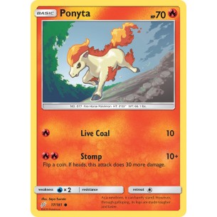 Ponyta