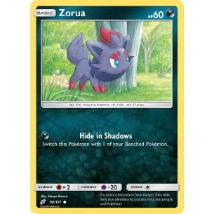 Zorua