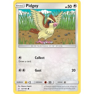 Pidgey
