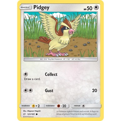 Pidgey
