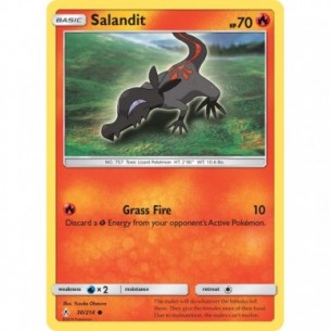 Salandit
