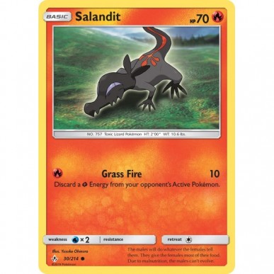 Salandit