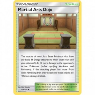 Martial Arts Dojo