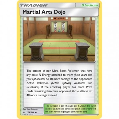 Martial Arts Dojo