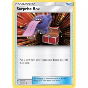 Surprise Box