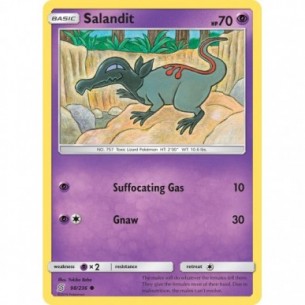 Salandit