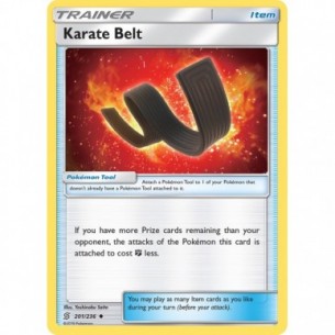 Karate Belt