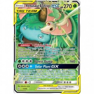 Venusaur & Snivy-GX