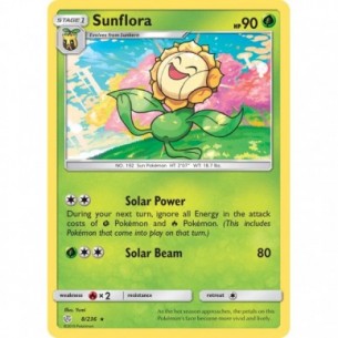 Sunflora