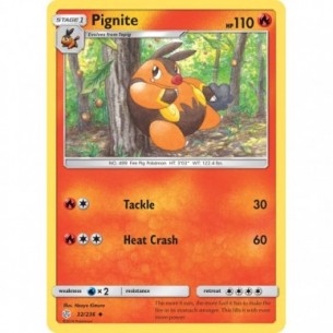 Pignite