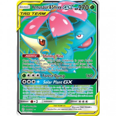 Venusaur & Snivy-GX