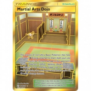Martial Arts Dojo