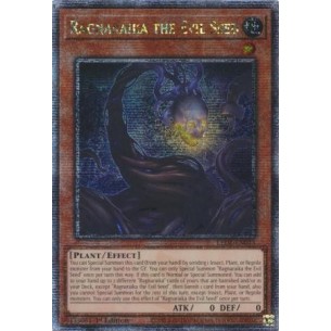 Ragnaraika il Seme Malvagio...