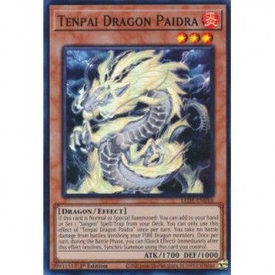 Tenpai Drago Paidra
