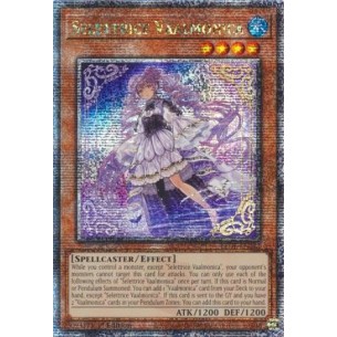 Selettrice Vaalmonica (V.2...